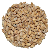 Pilsner Malt | Avangard